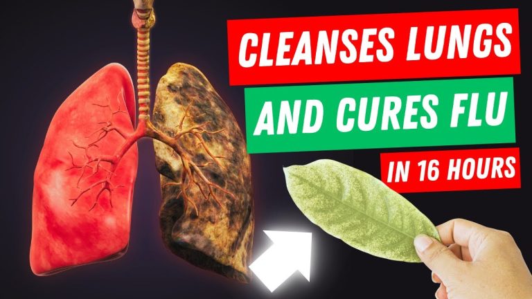 The Remarkable Healing Power of this Herb: Cleansing the Lungs and Curing the Flu within 16 Hours! This Herb Cleanses The Lungs And Can Cure The Flu In 16 Hours!