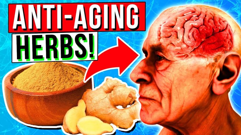 12 Best ANTI-AGING Herbs That Helps Protect The Brain & Memory Loss