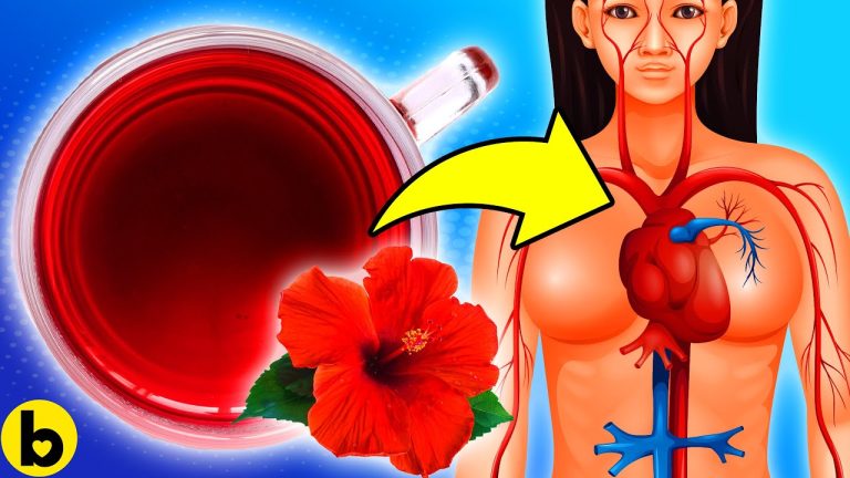 The Transformative Effects of Drinking Hibiscus Tea Daily for 30 Days Drink Hibiscus Tea Every Day For 1 MONTH, See What Happens To Your Body!